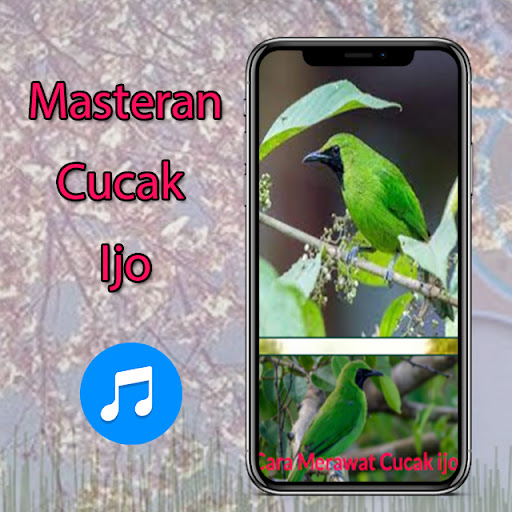Android application Cucak Ijo Gacor Dor screenshort