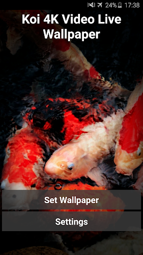 Android application Koi 4K Video Live Wallpaper screenshort