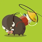 Dangerous Bull Race