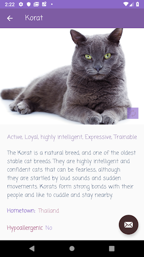 Kitty Wiki - A Cat Library-  一 Screenshot 3 - AppWisp.com