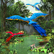 3D Rainforest Live Wallpaper