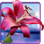 Cover Image of 下载 Flowers. Magic Touch Wallpaper 1.1.1 APK