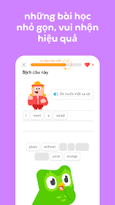 Gấu bông Duolingo cute- thú nhồi bông hình cú Duo phiên bản kỉ niệm 10 năm  dành cho bé | Lazada.vn