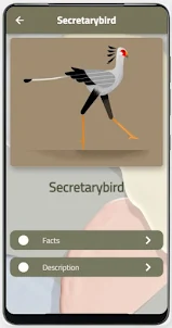 Secretary bird