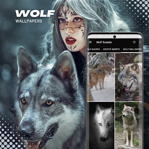 Screenshot of Wolf Sounds-videos-wallpaper