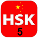 12 Complete Level 5 – HSK® Test 2020 汉语水平考试 Laai af op Windows