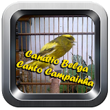 Canário Belga Canto Campainha icon
