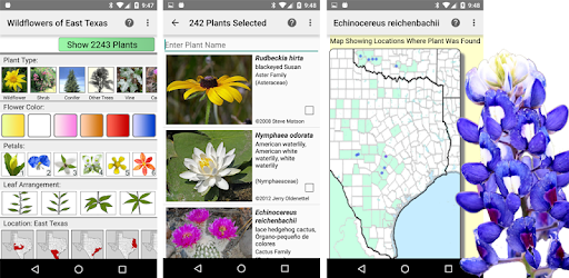 East Texas Wildflowers Apps on Google Play