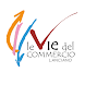 LE VIE DEL COMMERCIO LANCIANO - Androidアプリ