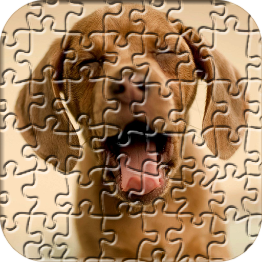 Dogs Jigsaw Puzzles for Kids