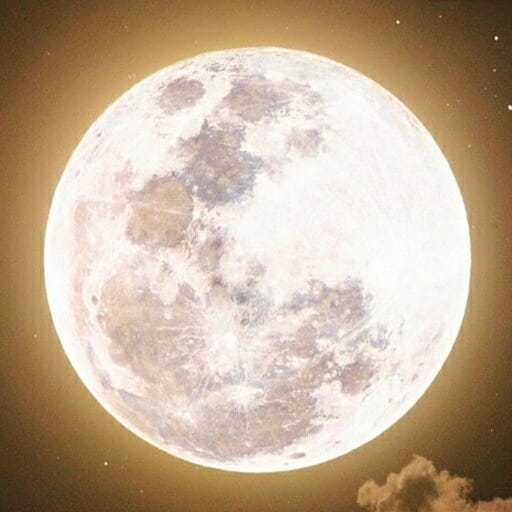 Moon Wallpaper logo