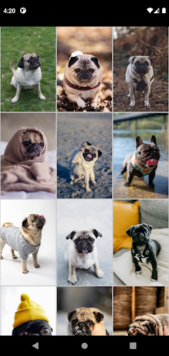Pug Wallpapers Screen 3