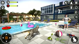 Cat Simulator: Pet Cat Games - Screenshot 3