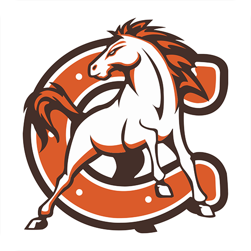 Cumberland Regional HS logo