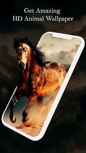 Zodiac Sign Wallpaper HD Live