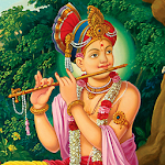 Meditation Music Swaminarayan Apk