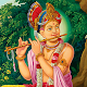 Meditation Music Swaminarayan Laai af op Windows
