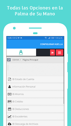 ASESYL Screen 3