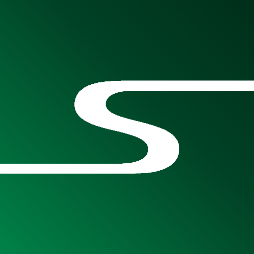 Steerr logo