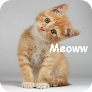 Top 11 Lifestyle Apps Like Understand Cats Langage - Best Alternatives