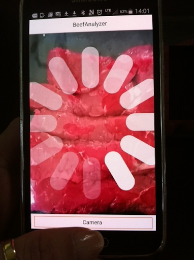 Beef Analyzer Screen 3