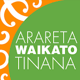 Arareta Waikato: Tinana icon