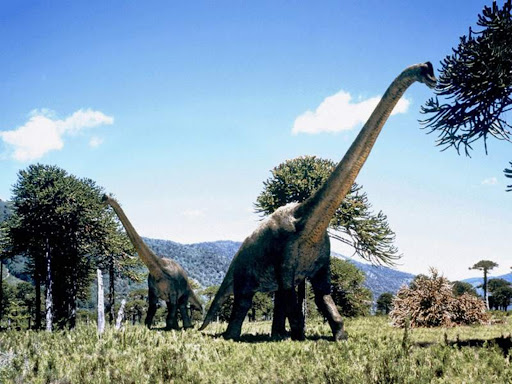 Android application Dinosaurs Wallpaper HD screenshort