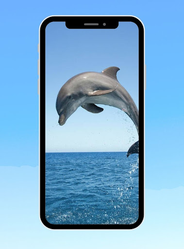whale and dolphin Wallpaper Screen 2