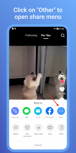 SaveTik: TK Video Downloader Screen 2