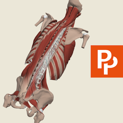 Primal's 3D Spine 3.9 Icon