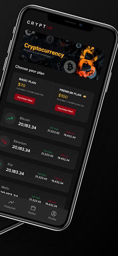 Cryptin Screen 2
