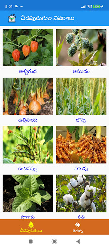 CropSuraksha
