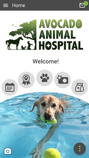 Android application Avocado Vet screenshort