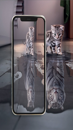 fond ecran cute cut wallpaper