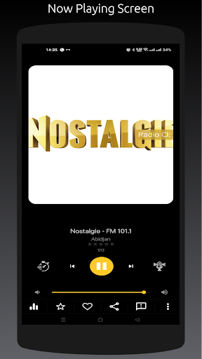 Radio CI: Ivory Coast Stations Screen 3