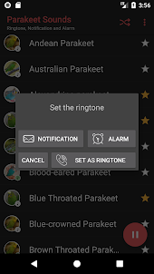Appp.io - Parakeet Sounds