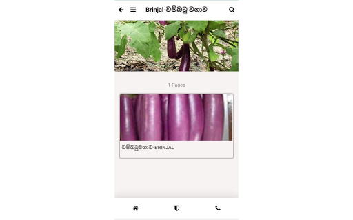 Green Dream Screenshot 4 - AppWisp.com