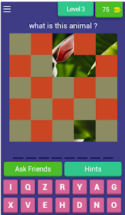 animal guess - Quiz game