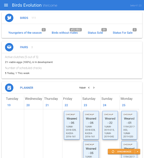 Android application Birds Evolution screenshort