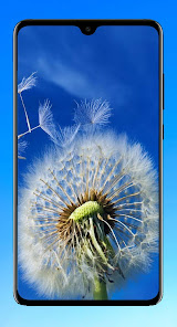 Captura de Pantalla 6 Dandelion Wallpaper HD android