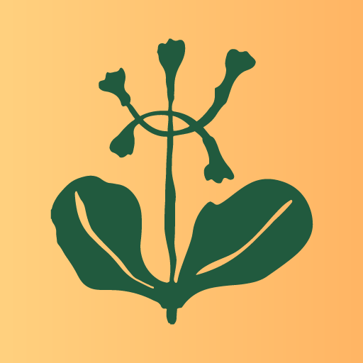 Parco Cilento logo