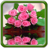Beautiful Pink Flowers icon