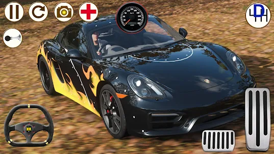 Simulator Porsche Cayman GTS