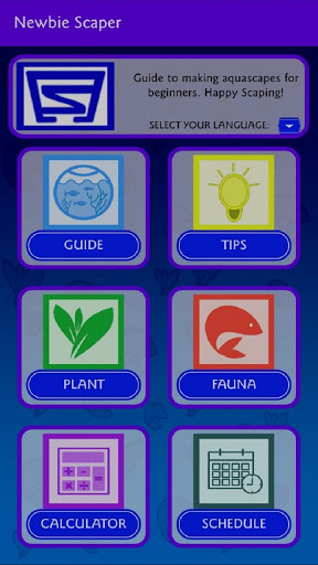 Newbie Scaper Aquascape Guide