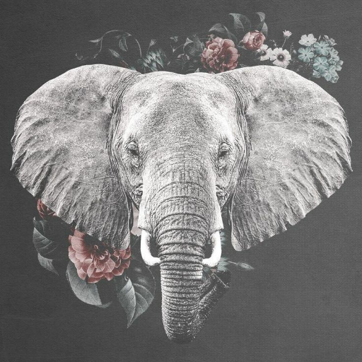 Elephant Wallpapers logo