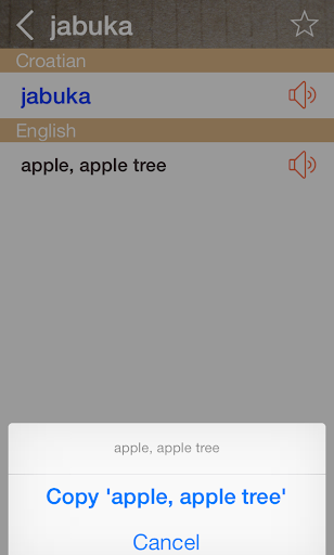 Croatian English Dictionary Screen 3