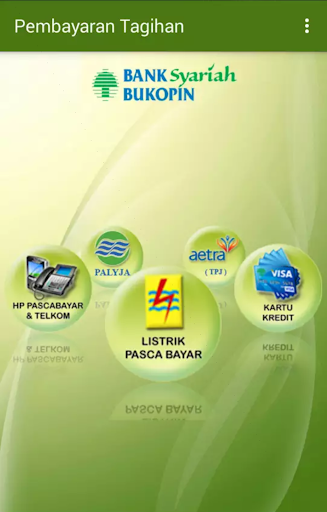 BSB SMS BANKING Screen 3