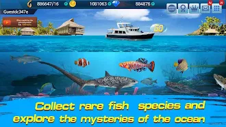 Game screenshot Рыбалка Чемпионат apk download