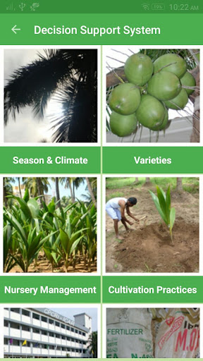 Coconut Expert System Screen 3