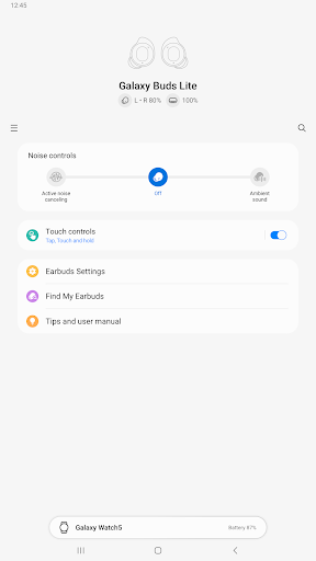 Screenshot of Galaxy Buds FE Manager